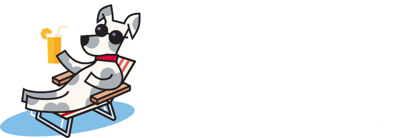 Cool Dog Water Fountains